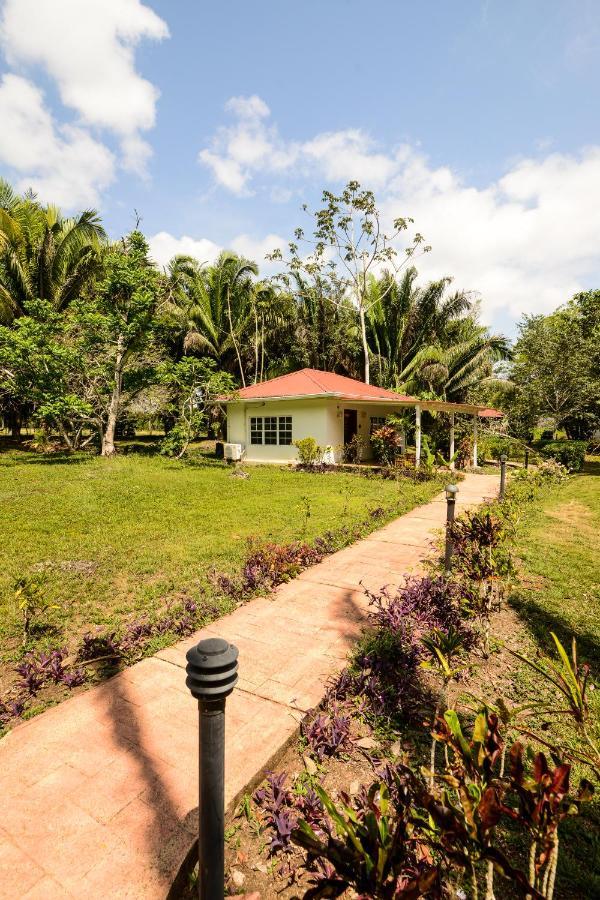 Kikiwitz Resort Belmopan Eksteriør billede