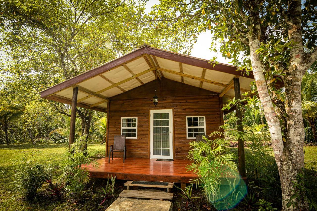 Kikiwitz Resort Belmopan Eksteriør billede