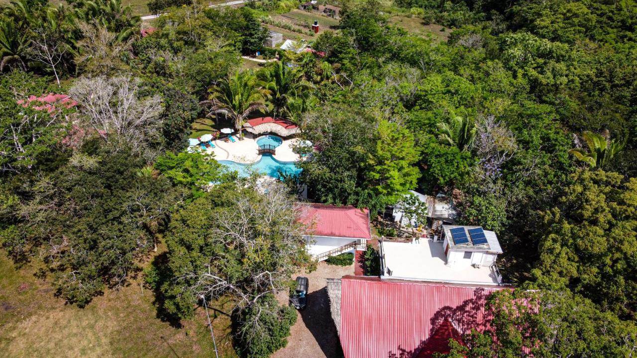 Kikiwitz Resort Belmopan Eksteriør billede