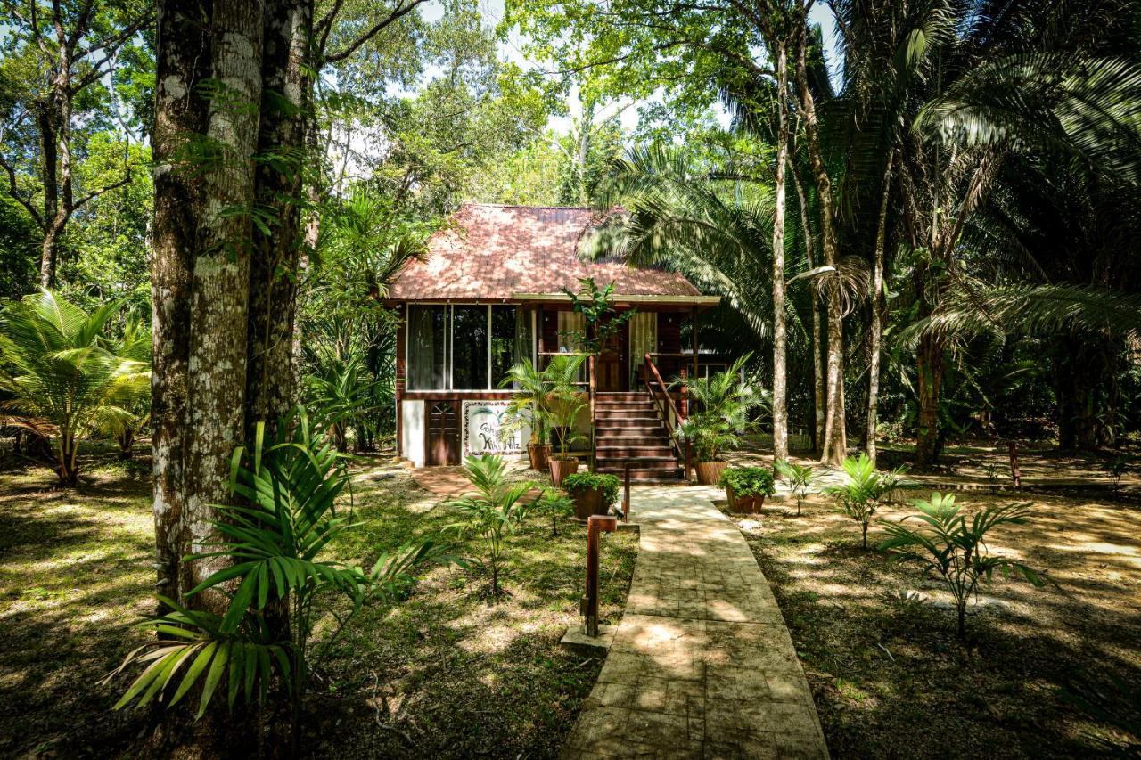 Kikiwitz Resort Belmopan Eksteriør billede