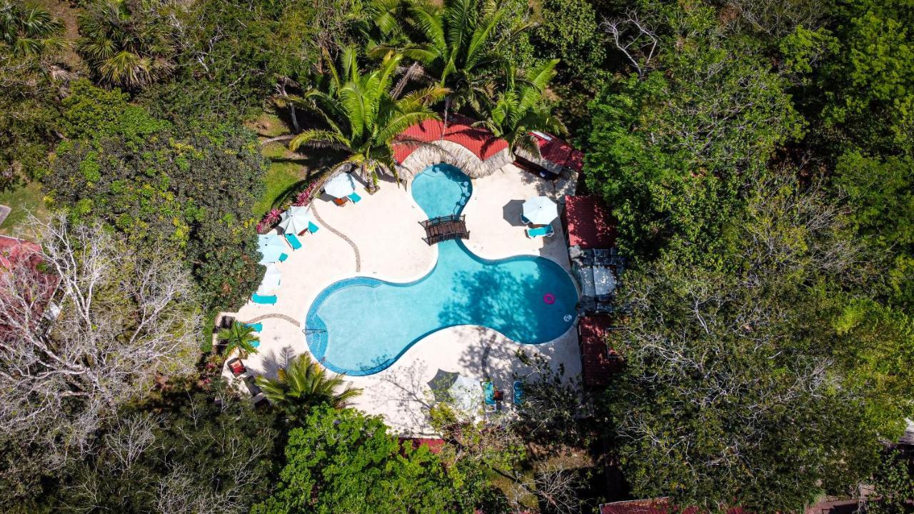 Kikiwitz Resort Belmopan Eksteriør billede