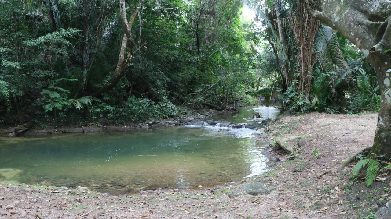 Kikiwitz Resort Belmopan Eksteriør billede