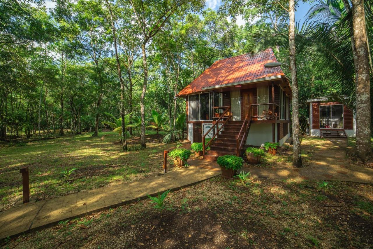 Kikiwitz Resort Belmopan Eksteriør billede