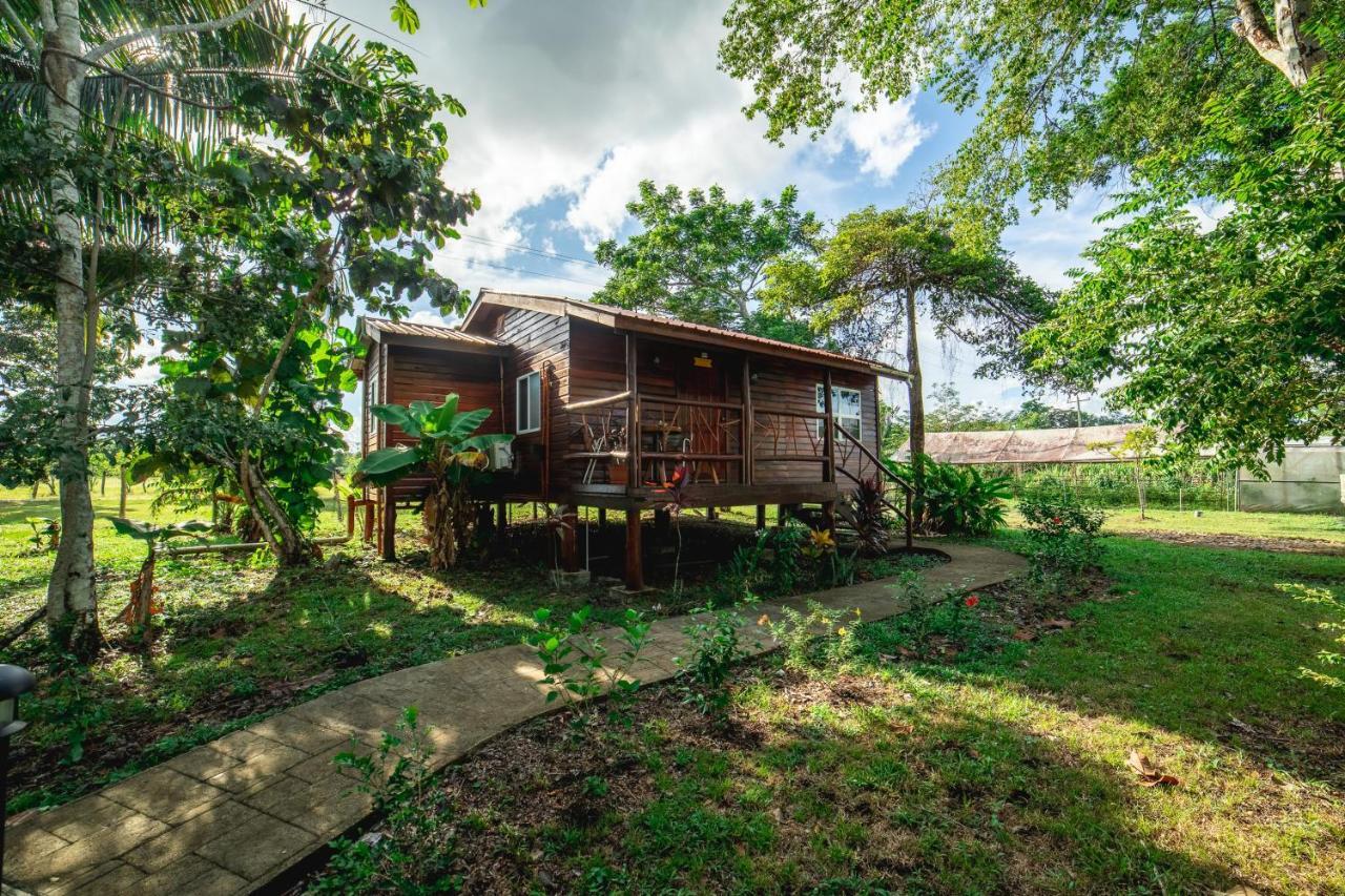 Kikiwitz Resort Belmopan Eksteriør billede
